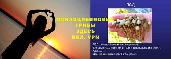 крисы Верхнеуральск