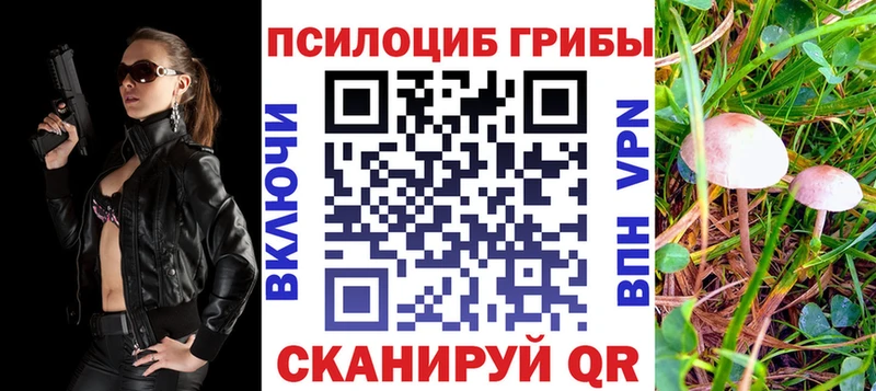 Псилоцибиновые грибы Psilocybine cubensis  Белая Калитва 